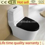 water saving toilet