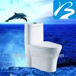WC Toilet Hot Sale Sanitary Ware BS10033-1