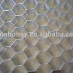 Aluminum honeycomb