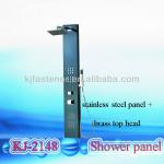 Stainless steel black shower panel