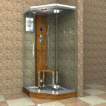 steam shower room Model S023