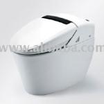 ceramic integrated bidet