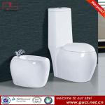 Bathroom design built-in bidet toilet