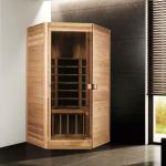 Foshan carbon fiber 1 person dry sauna room-03-B5