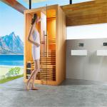 Luxury sauna room dry steam room sauna house