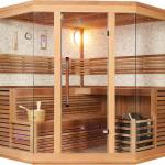 Modern sauna rooms
