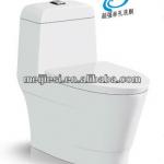 eddy siphonic one piece toilet bowl