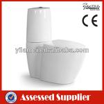 Sanitary ware Washdown Two Pieces Toilet