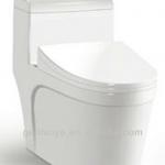 siphonic one piece wc toilet 2131