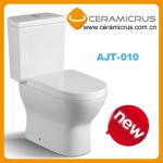 vitreous china toilets AJT-010