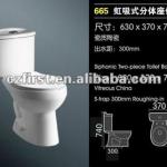 Economic Ceramic Two Pieces Toilet-FIRST-665