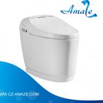 China best sell ceramic intelligent smart toilet supplier