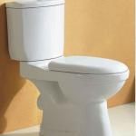 washdown two piece toilet/economic toilet/WC/toliet