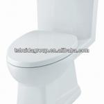 HDC6116A Washdown one-piece toilet