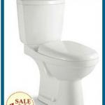 OT-6006 washdown two piece water closet toilet bowl-6006