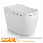 SSWW White Floor Mount Intelligent Toilet One Piece