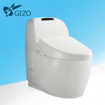China Product Ceramic Sanitary Intelligent Toilet LZ-0701 Smart Toilet