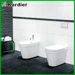 High quality plastic wc concealed toilet set