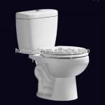 Hot Sale Washdown Two-piece toilet with tank HTTT-A2110