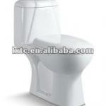 ceramic sanitary washdown one piece toilet