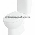 Washdown close-coupled toilet