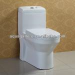 Porcelain Water Closet /White