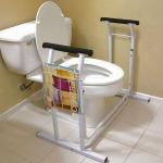 Deluxe toilet safety support