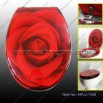 High Quality Resin Toilet Seat