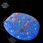 Led Blue Light Toilet Seat,LED luminous decor toilet seat