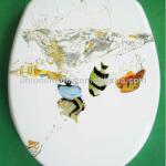 Duroplast Toilet Seat