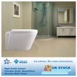 NEW MODERN CERAMIC TOILET WALL HUNG WC PAN SEAT DUAL FLUSH CISTERN BATHROOM UK STOCK