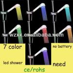 LED shower