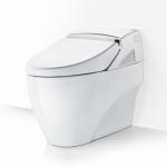 Electric luxury led Toilet Bidet