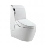 Bathroom Accessory Electric Toilet Bidet-JJ-0807z