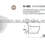 Washdown wall-hung toilet bowl