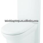 HDC309/S309 2 pieces toilet washdown p trap