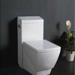 UPC toilet TB336