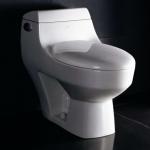 UPC toilet-