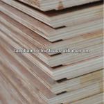 CONTAINER PLYWOOD 1160mm*2440mm*28mm