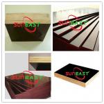 Film faced plywood manufacturer;Shuttering plywood price;Marine plywood for building construction