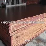 construction film faced laminate plywood board