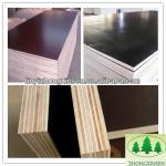 film faced plywood/shuttering plywood/marine plywood