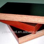 1250*2500*18MM marine plywood shuttering plywood-Marine Plywood