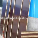 concrete formwork plywood