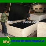 18mm contruction Black film faced Plywood