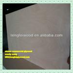 best price okume/bintangor commercial plywood 1220*2440mm from Shandong China