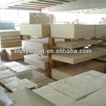 commercial popalr core plywood for packing/furniture/construction for factory sale