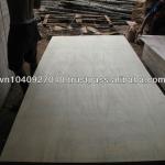 Packing plywood-TD-PLY02