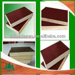 18mm Film faced plywood sheets/black;brown;red film marine plywood/construction concrete plywood