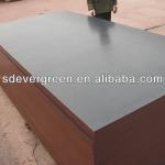 2014 hot sale Film Faced Plywood